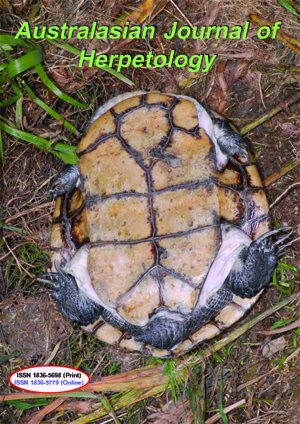 New species of turtle
